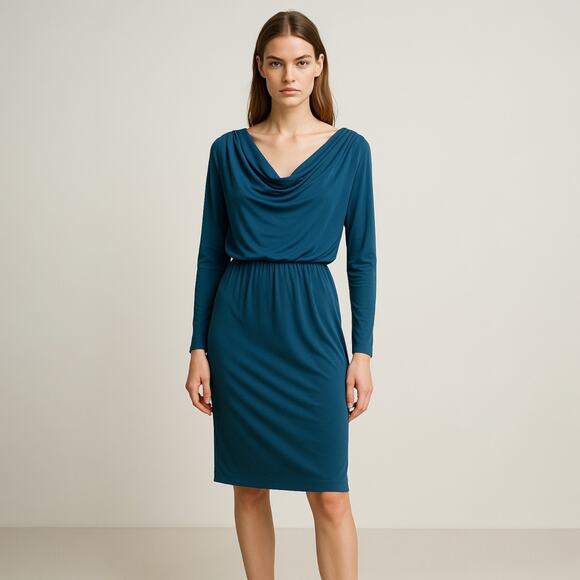 Maggy London Blue Long Sleeve Drapey Cowl Neck Blouson Knee Length Dress Size 4P - Picture 1 of 6
